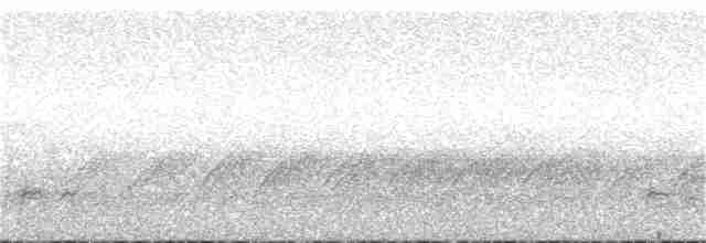 Zorzal Citrino (cyanota) - ML246973441