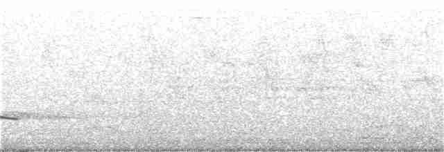 Gray-bellied Cuckoo - ML246983871