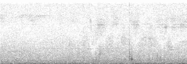 Макирский цикадник - ML246987
