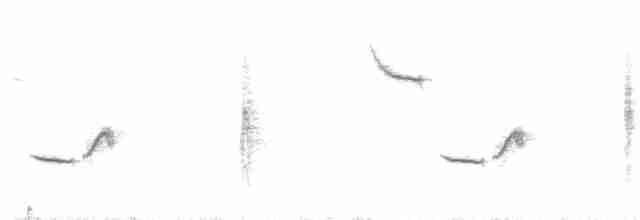 Blyth's Reed Warbler - ML246988471