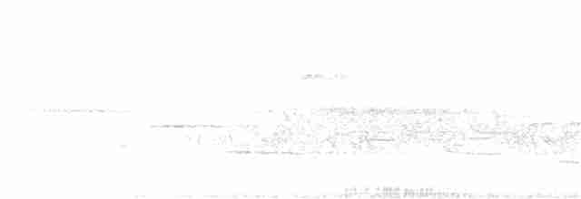 Common Yellowthroat - ML247001071