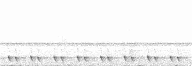 Red-necked Nightjar - ML247005191
