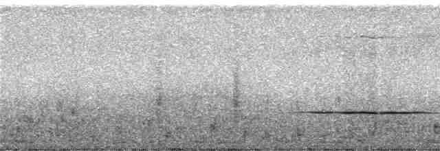 rødknoppkeiserdue (rufigula) - ML247009