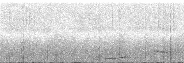 Голуб-довгохвіст чубатий - ML247014