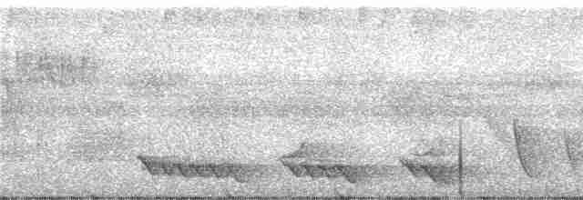 Oriole Whistler - ML247021
