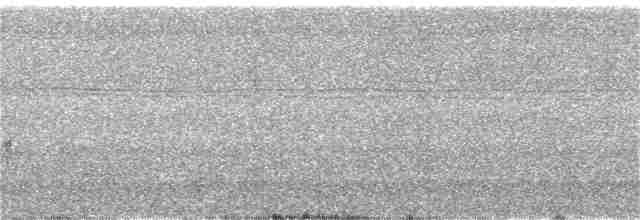 svartskrike (leucopterus) (hvitvingeskrike) - ML247026331
