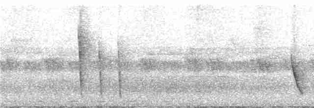 Oriole Whistler - ML247030