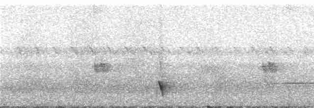 Oriole Whistler - ML247031