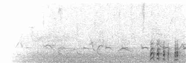 Common Gallinule - ML247036761