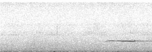 Brush Cuckoo (Solomons) - ML247045