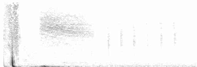 Black-tailed Gnatcatcher - ML247050491