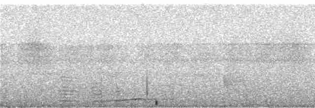 Голуб-довгохвіст чубатий - ML247051