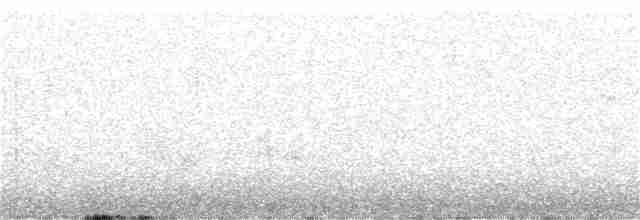 Hermit Warbler - ML247075001