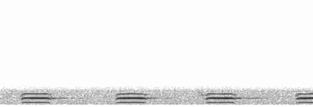 Ninox de las Salomón Occidentales (roseoaxillaris) - ML247087