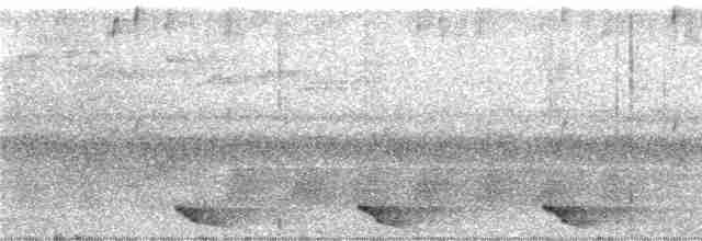 Méliphage de San Cristobal - ML247089