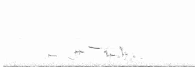Western Meadowlark - ML247089961