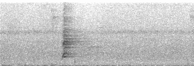 Méliphage de San Cristobal - ML247096