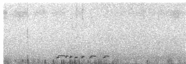 Zebra Dove - ML247102181
