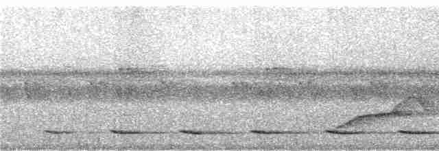 Méliphage de San Cristobal - ML247103
