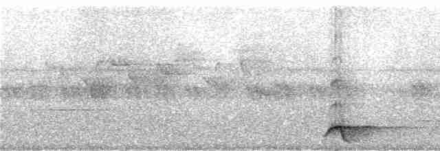 Светлоклювый медолюб - ML247108