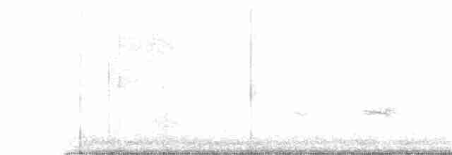 Дрізд-короткодзьоб Cвенсона - ML247115561