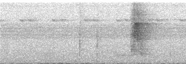 Méliphage de San Cristobal - ML247120