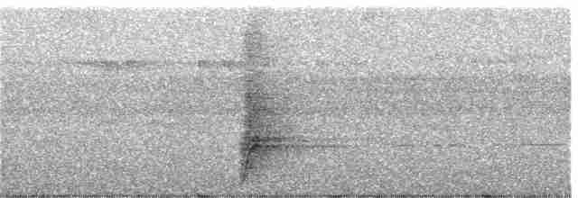 Méliphage de San Cristobal - ML247121