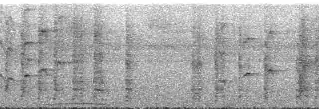 Сверкающий дронго (longirostris) - ML247126