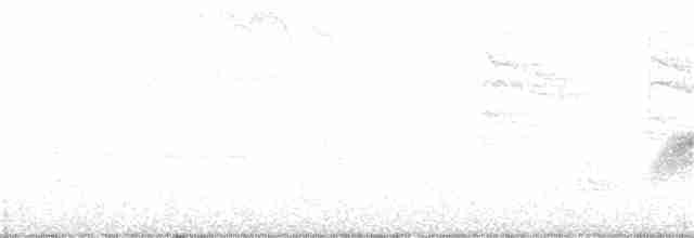 White-eyed Vireo - ML247127371