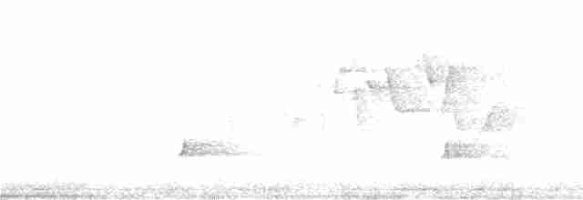 Дрізд-короткодзьоб Cвенсона - ML247130311