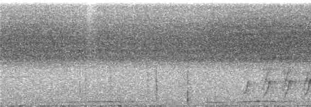 Oriole Whistler - ML247131