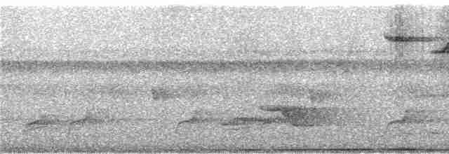 rødknoppkeiserdue (rufigula) - ML247141