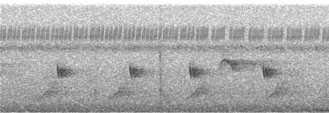 Пінон гребінчастий (підвид rufigula) - ML247152