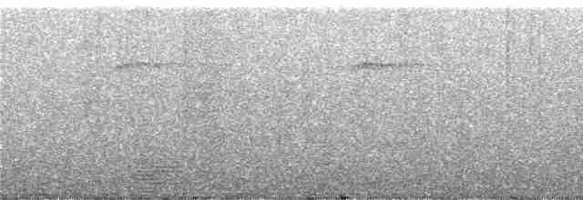 holub bělohlavý - ML247158