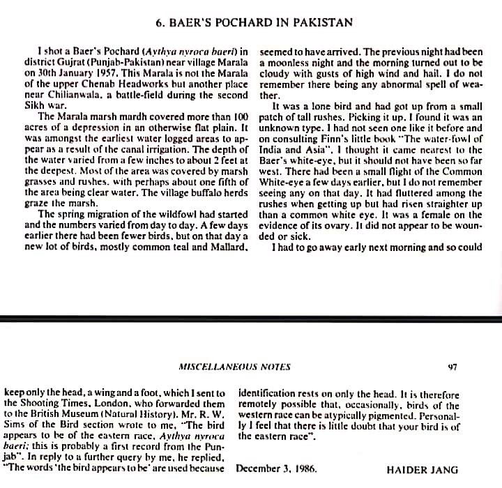 Baer's Pochard - Pakistan Historical  Records