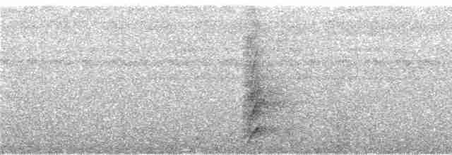 Méliphage de San Cristobal - ML247194