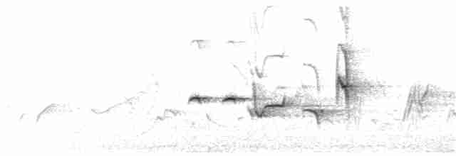 Белокрылый тугайный соловей - ML247212461