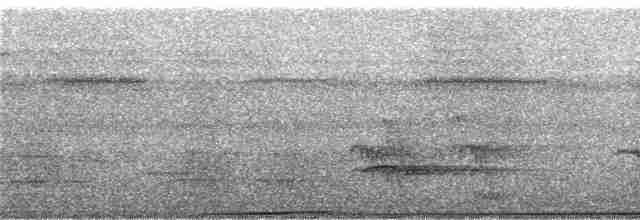 rødknoppkeiserdue (rufigula) - ML247216