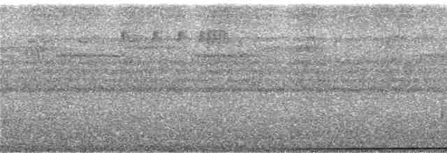 rødknoppkeiserdue (rufigula) - ML247222