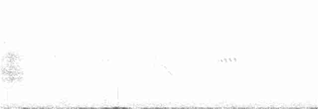 Кузнечиковая овсянка-барсучок - ML247222071