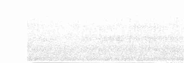 Çam Baştankarası - ML247255701
