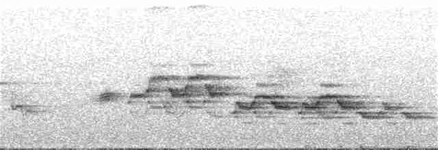Дрізд-короткодзьоб бурий - ML247271441