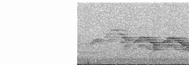Дрізд-короткодзьоб бурий - ML247297581