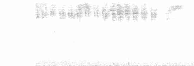 Щетинкохвіст гірський - ML247317521