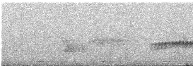 Белокрылая дриада - ML247339