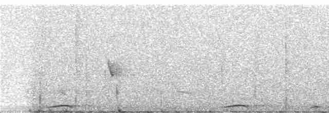 Каштановая длиннохвостая горлица - ML247345