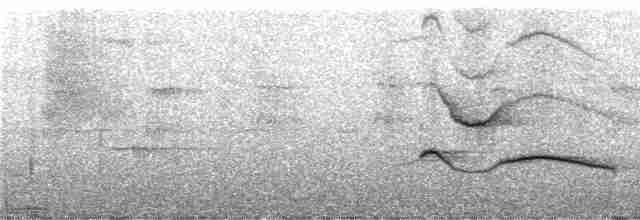 Gray-streaked Honeyeater - ML247348