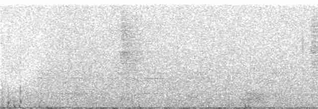 Дивоптах строкатий - ML247356