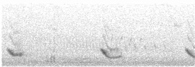 Sinsonte Norteño - ML247356521