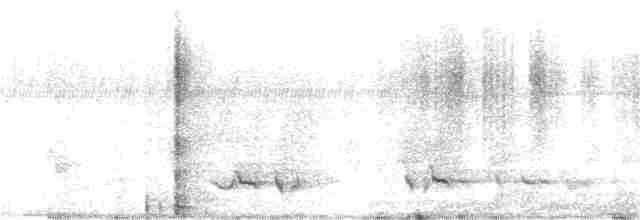 Boyalı Horoz Kekliği - ML247363751